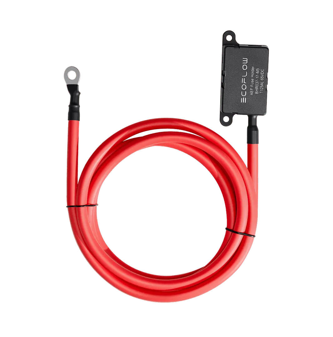 Extended Fuse Cable