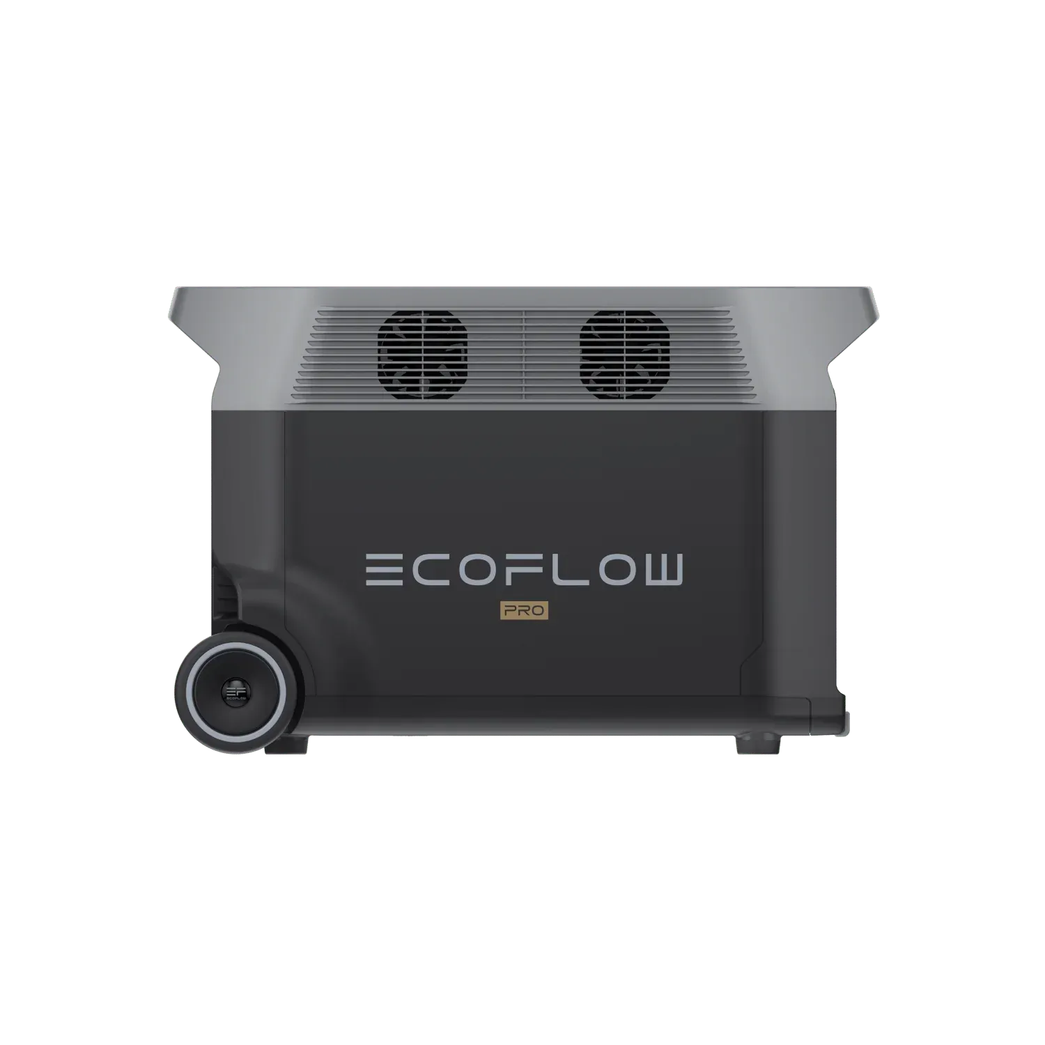EcoFlow DELTA Pro (left side)