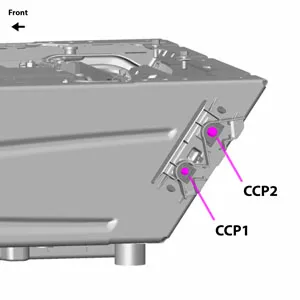 CCP1 and CCP2